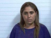 Mehr als eine Million USD Schaden: Frau betrügt mehr als 450 Personen und 17 Finanzinstitute