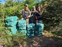 Über eine Tonne Kokain im Chaco beschlagnahmt