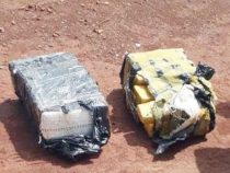 Marihuana-Fund auf Friedhof gibt Rätsel auf