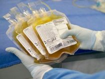 Covid-19: Plasmaspenden bringen gute Ergebnisse