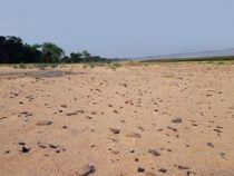 Spuren einer reichen Kultur: Auf der Suche nach archäologischen Überresten