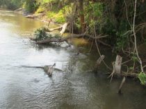 Angler wird von bewaffneten Personen entführt