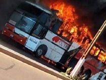 Bus fängt Feuer und brennt aus