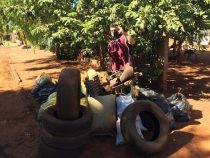 Dengue-Fälle auf dem niedrigsten Stand seit 10 Jahren