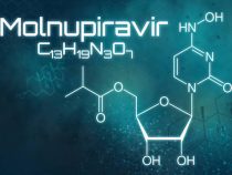 Molnupiravir: Was es mit dem neuen Medikament gegen Covid-19 auf sich hat