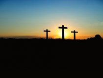 Gegendarstellung zu Ihrem Artikel: Ostern: Ein Fest der leeren Versprechen und vergoldeten Hasen