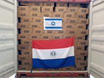 Paraguayische Yerba erobert Israel