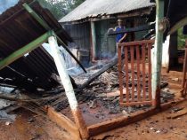 Dummheit muss bestraft werden