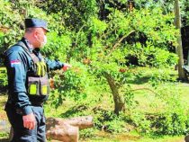 Angeblich spukt es auf einer Polizeistation