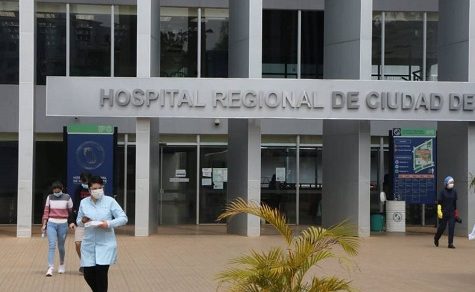 Notfall im Regionalkrankenhaus: Neugeborene wegen Flohinvasion aus der Neonatologie verlegt