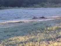 Temperaturen unter Null: Den Süden des Landes hat es getroffen
