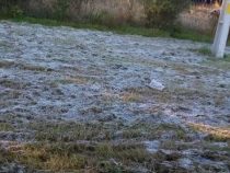 Frost: Landwirtschaftliche Produzenten zu Vorsichtsmaßnahmen angehalten
