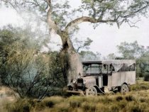 Der Chaco Krieg: Eventuell anders vorgestellt