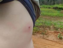 Landbesetzung mit Gewalt beeendet