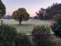 Frost-Alarm für Landwirte: Kälteschock bedroht Ernten im Süden und Zentrum