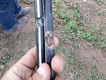 Nagetiere beschädigen das Glasfaserkabel in den Chaco