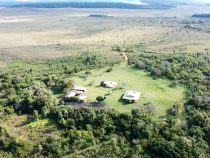 Grüner Goldrausch in Paraguay: Erste Millionen-Erfolge am Kohlenstoffmarkt