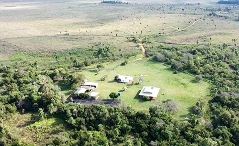 Grüner Goldrausch in Paraguay: Erste Millionen-Erfolge am Kohlenstoffmarkt