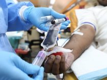 Zeugen Jehovas: Gericht lehnt religiöse Klage gegen Bluttransfusionen ab