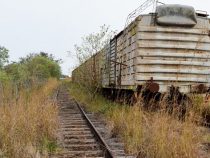 Eine Eisenbahngesellschaft ohne Eisenbahn?