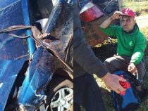 Nach Unfall aus Krankenhaus geflüchtet und verstorben