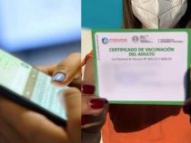 WhatsApp-Konto von Geimpften gestohlen: Man sollte nicht alles publizieren