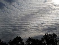Chemtrails: Verschwörung am Himmel?