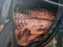 Eine Tonne Fleisch im Auto sichergestellt