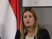 Grünes Gold für Europa: Paraguay bereit zur Eroberung des EU-Holzmarktes