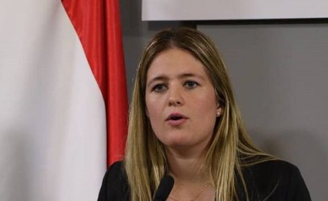 Grünes Gold für Europa: Paraguay bereit zur Eroberung des EU-Holzmarktes