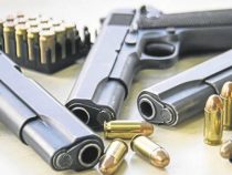 Paraguay: Vier Deutsche wegen Waffenhandel festgenommen