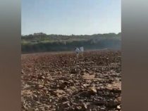 Extrem niedriger Pegel des Paraná-Flusses: Zu Fuß über die Grenze