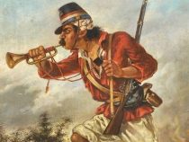 Afrikaner im Dreibund-Krieg: die unbekannte Geschichte der Nambi’i
