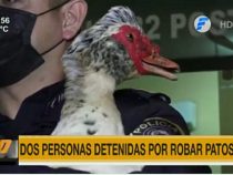 Polizei erfolgreich auf “Entenjagd“