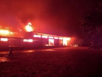 Yerbafabrik „Colón“ in Flammen