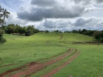 Welche Probleme Deutsche in Paraguay nach wie vor haben