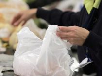 Plastiktüten: In Supermärkten ging der Gebrauch um 40 % zurück