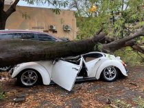 Volkswagen Käfer-Liebhaber trauert