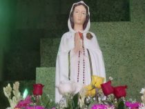 Warnung vor der “geheimnisvollen Rose und dem Kult des kostbaren Blutes“