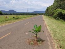 Tödliche Schlaglöcher: Infrastrukturmängel für fast jeden dritten Unfall verantwortlich
