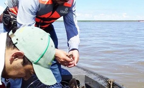 Fischereiverbot ab November: Ruhepause für Paraguays Flüsse und Fischer