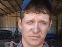 Gewalttätiger Mennonit aus Nueva Durango ist geflohen