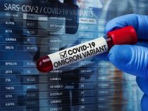 Gesundheitsministerium bestätigt Zirkulation der zweiten Omicron-Subvariante