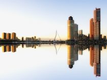 Rotterdam: 4,2 t Kokain in Containern aus Paraguay beschlagnahmt