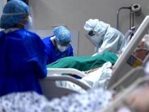Covid-19: Zwangsimpfung gefordert, um Infektionen und Todesfälle zu stoppen