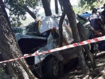 Horror-Unfall! Auto prallt gegen Baum – Drei Tote zu beklagen