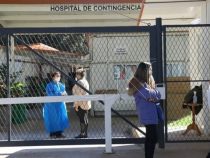 Ruft die Omikron-Variante eine Herdenimmunität hervor?