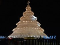Ein wunderschöner Weihnachtsbaum