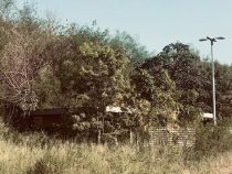 “Es ist nicht Tschernobyl, es ist der Park der Solidarität“