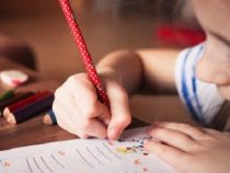 Schwerpunkt in diesem Schuljahr: Mathematik und Sprachen